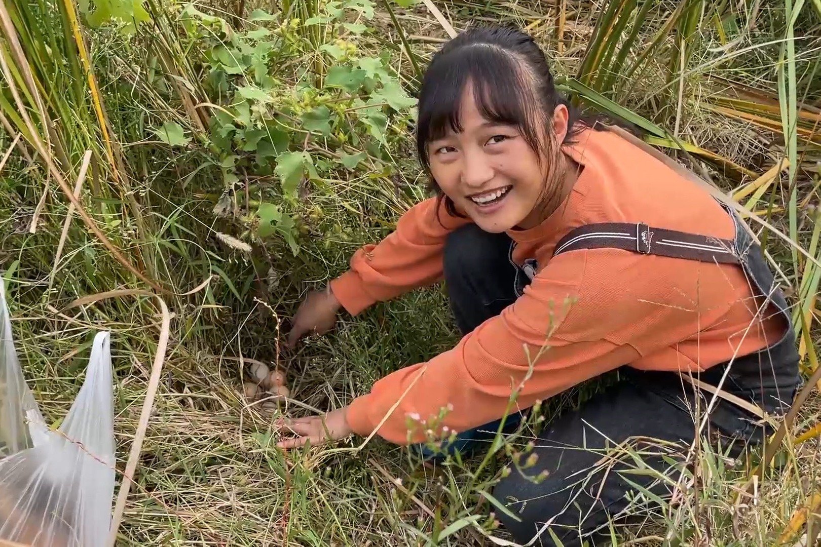 媳妇去河边摘香蒲棒，发现草窝里面有一窝野鸡蛋，整整10个真不少