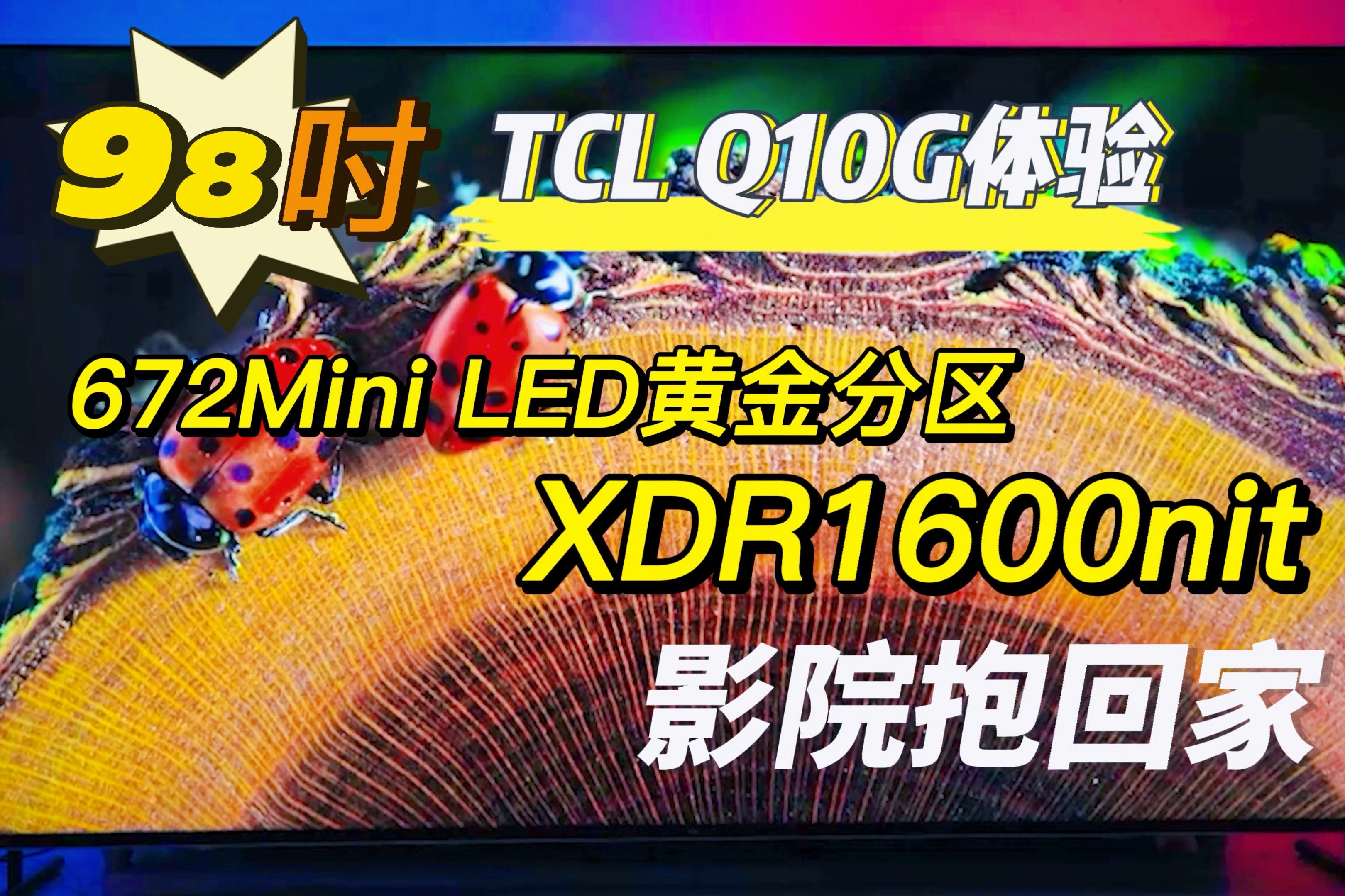 深度体验98篮球直播在线观看回放感受热血沸腾的篮球之夜