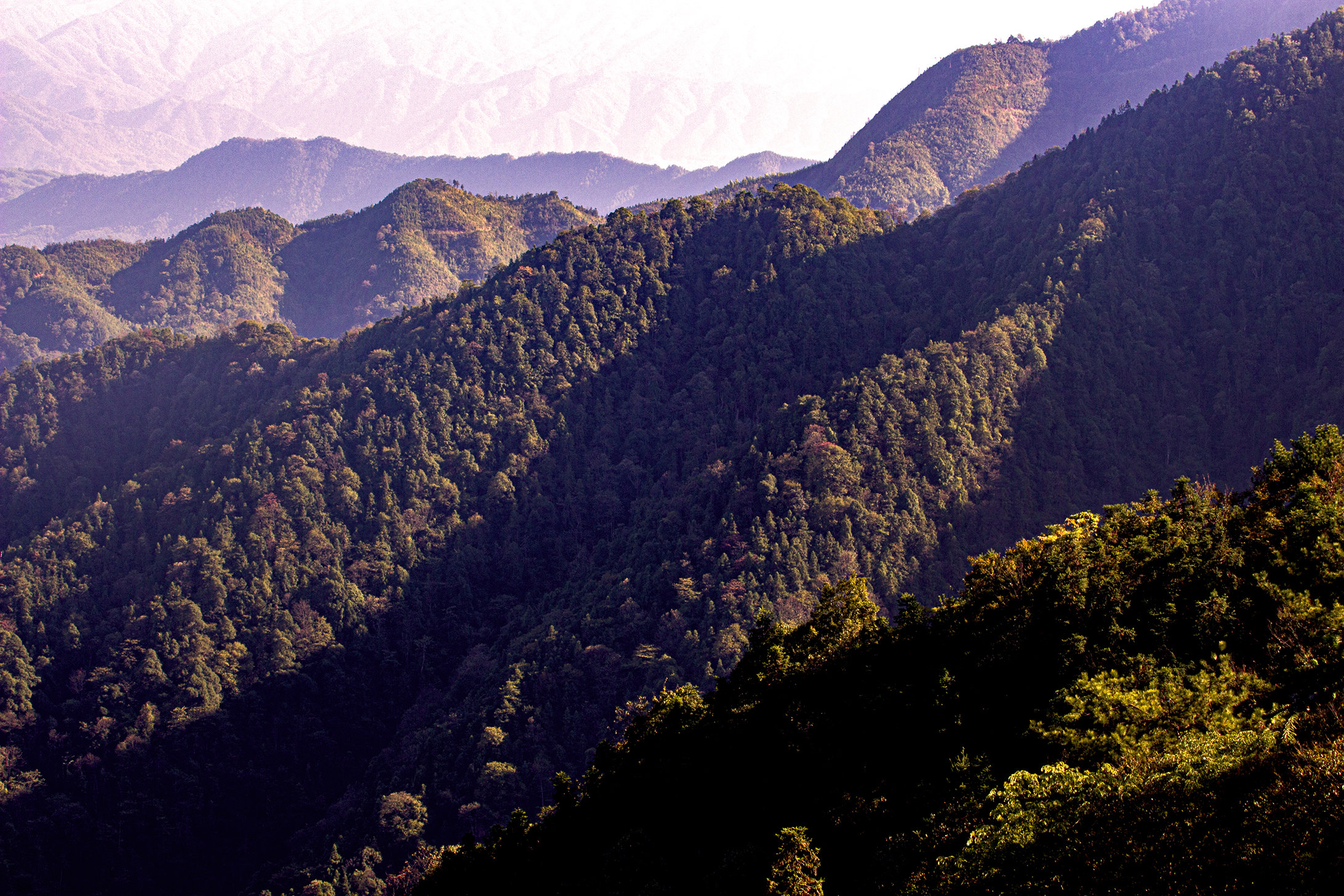 九岭山风景公园图片