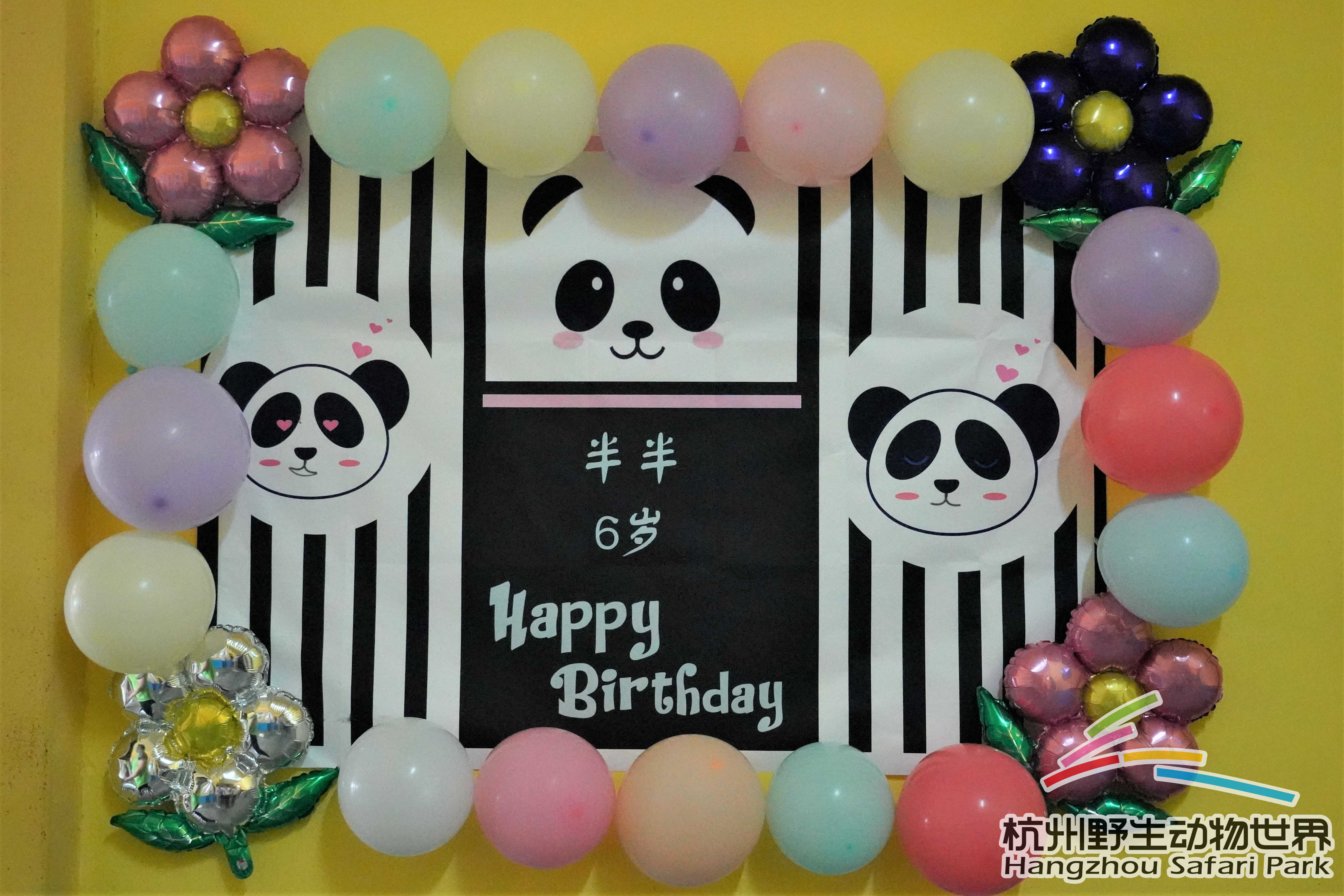 杭州动物园两只大熊猫非正常死亡，官方发布公告