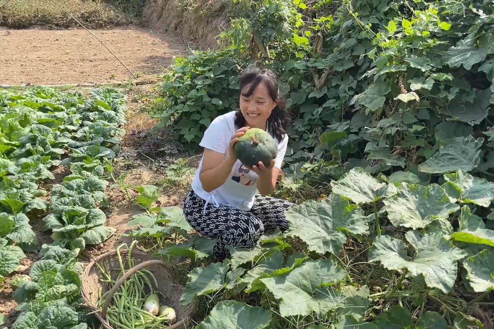 菜园各种蔬菜挺丰富，媳妇随便摘点做一桌菜，家常小炒也挺不错