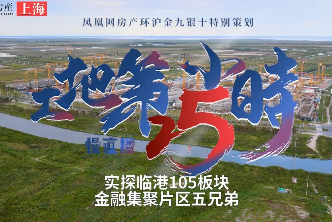 五兄弟接连入市 实探临港105板块金融片区建设情况