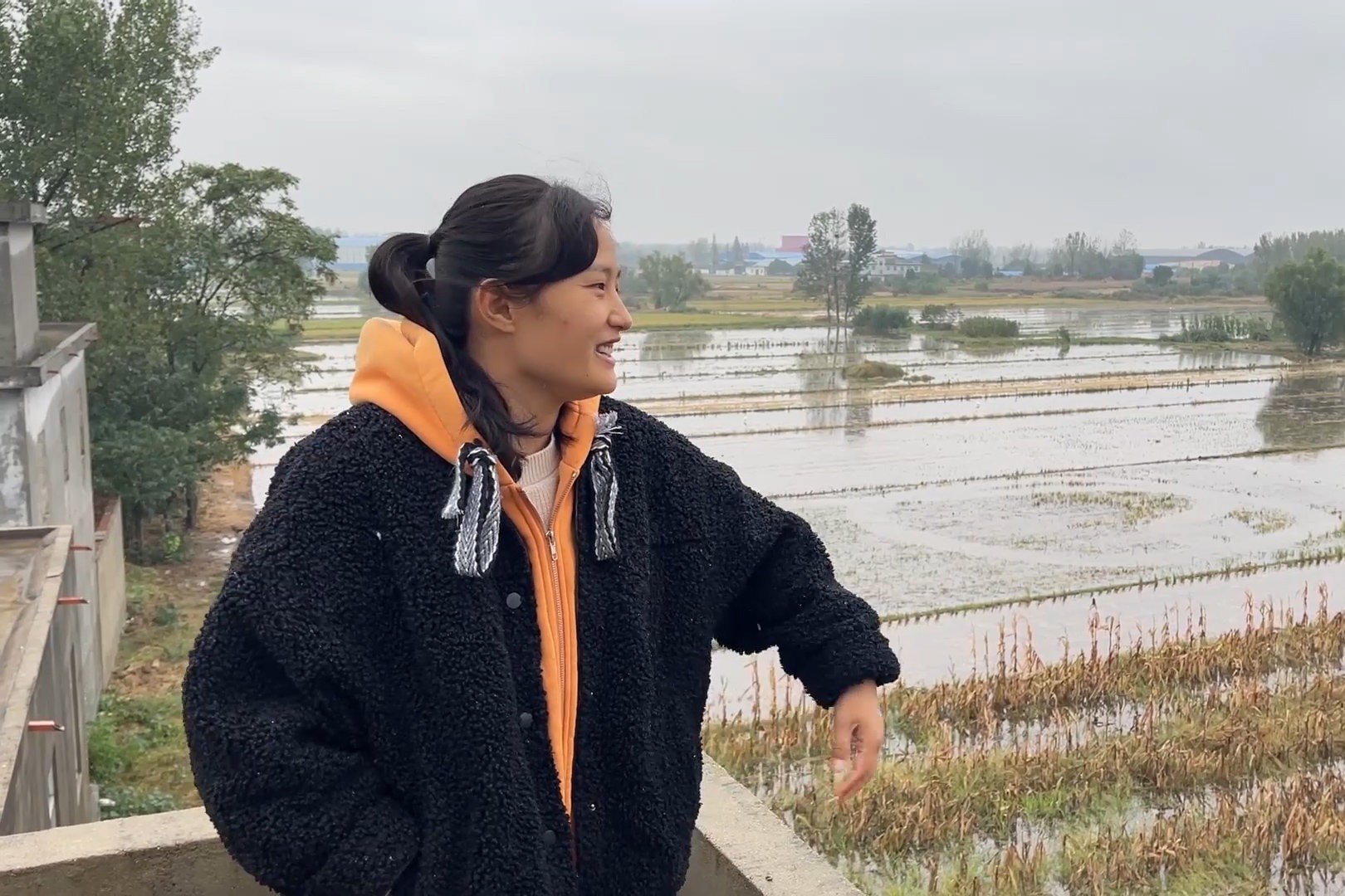 雨下了2天2夜，自家后院的稻田都能养鱼了，种麦又延后了，真愁人