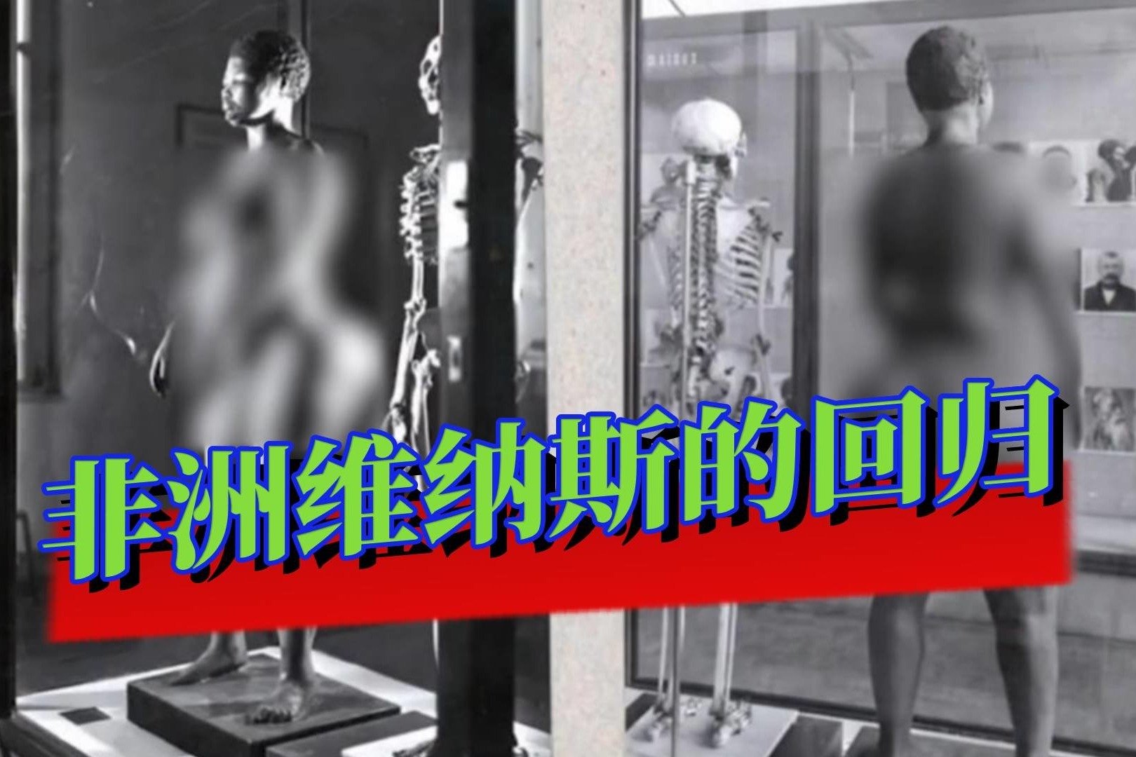 20年前，非洲“维纳斯”回归故土，186年的羞辱终于画上句号_凤凰网视频_凤凰网