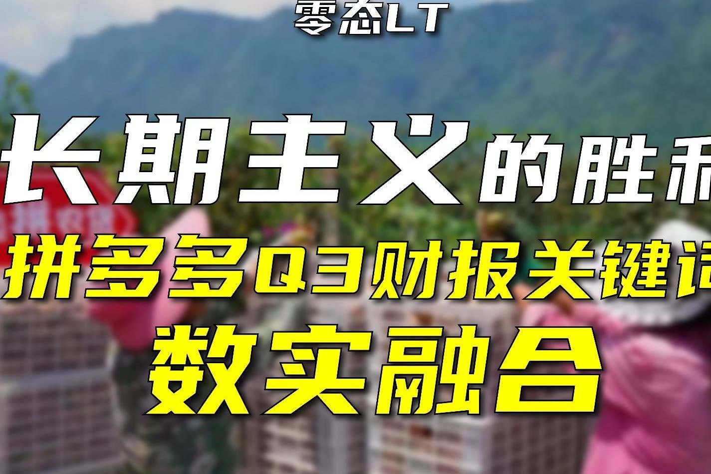 拼多多Q3财报关键词：数实融合、实体经济、供给侧升级