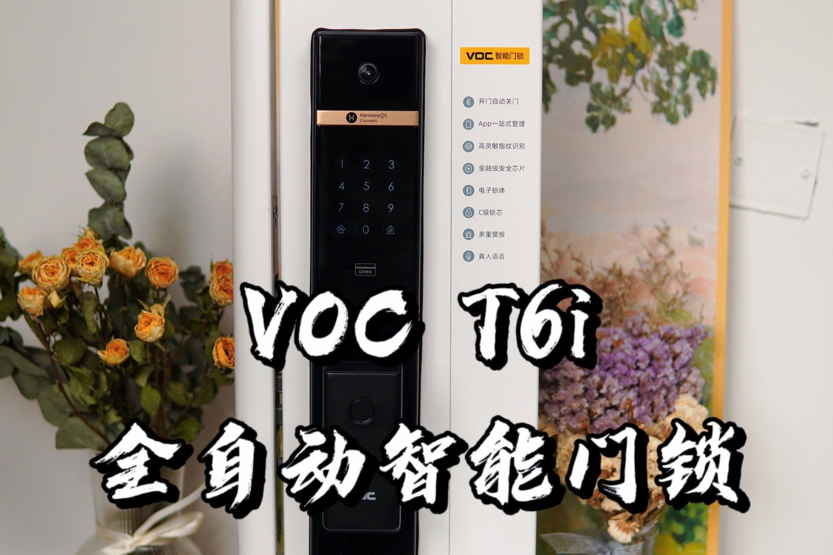 voc-t6i