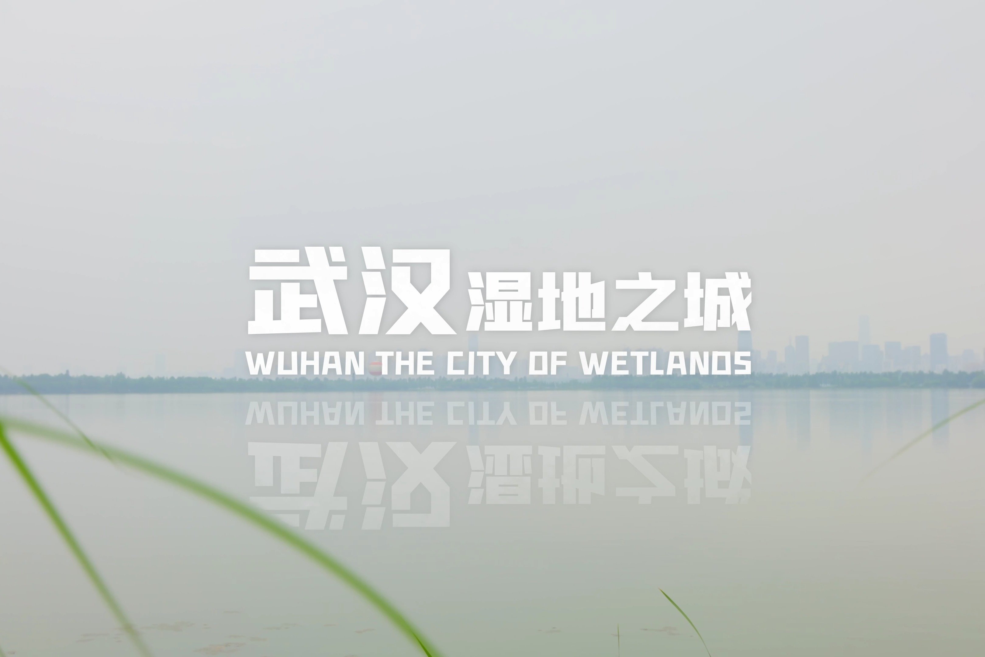 武汉湿地之城宣传片来了！