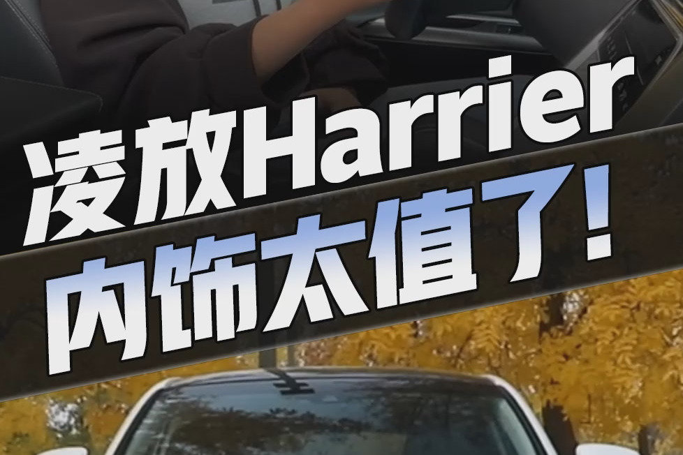 凌放Harrier内饰比荣放有质感多了，就是中控屏这启动速度...