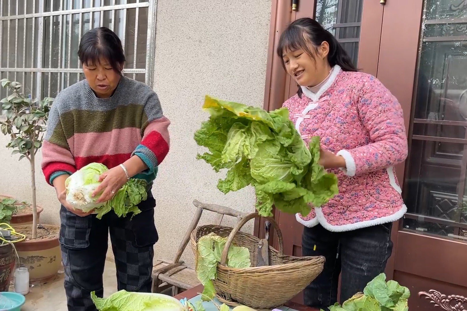 最近媳妇总是反胃想吐，中午老妈下厨炒一桌素菜，媳妇吃的真香