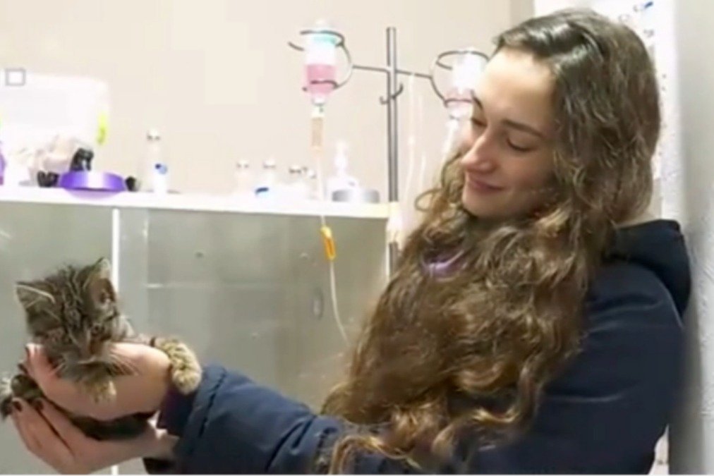 乌克兰战火波及动物：流浪动物多3倍，收容所爆满，急需救援过冬