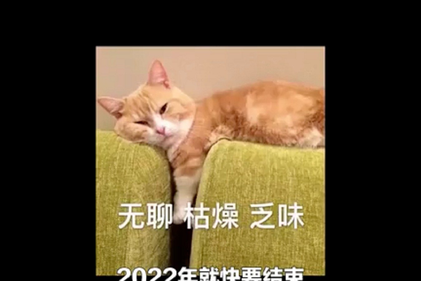 2022年最让人失望的五部电视_凤凰网视频_凤凰网