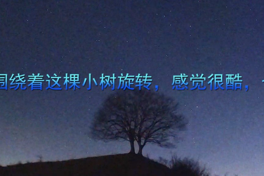 星星围绕着这棵小树旋转，感觉很酷，也很漂亮