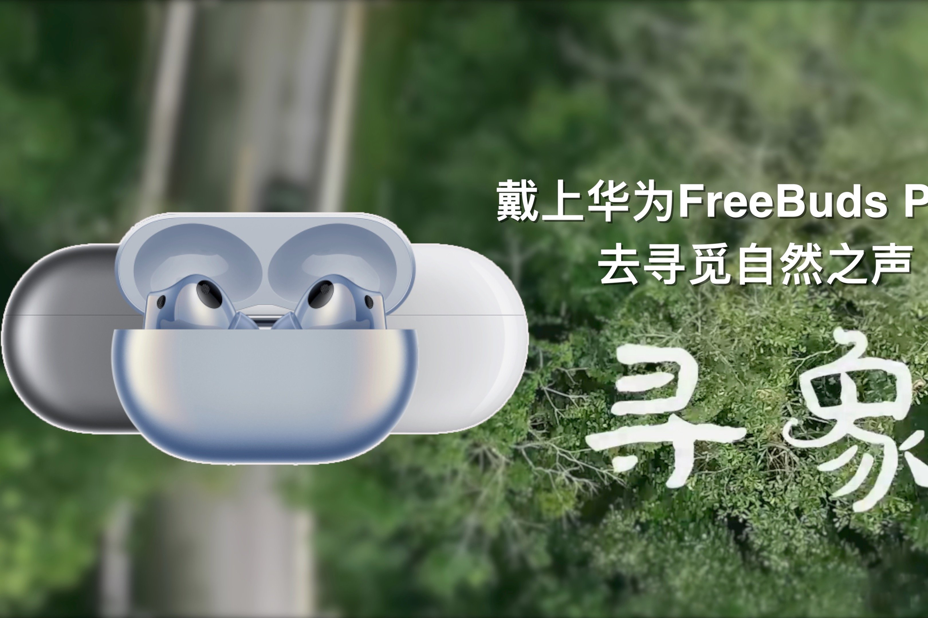 戴上华为FreeBuds Pro 2 去寻觅自然之声