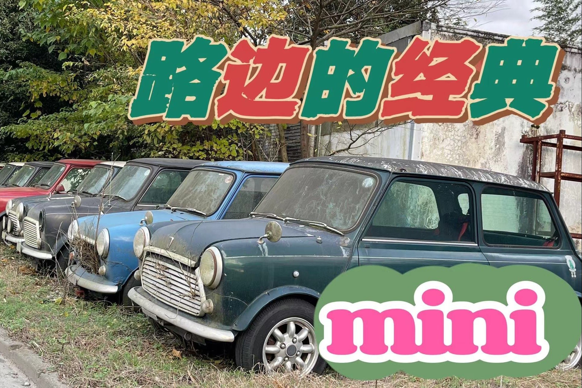 最近周末|日本路边惊现一堆经典mini!到底是什么情况?_凤凰网视频_凤凰网