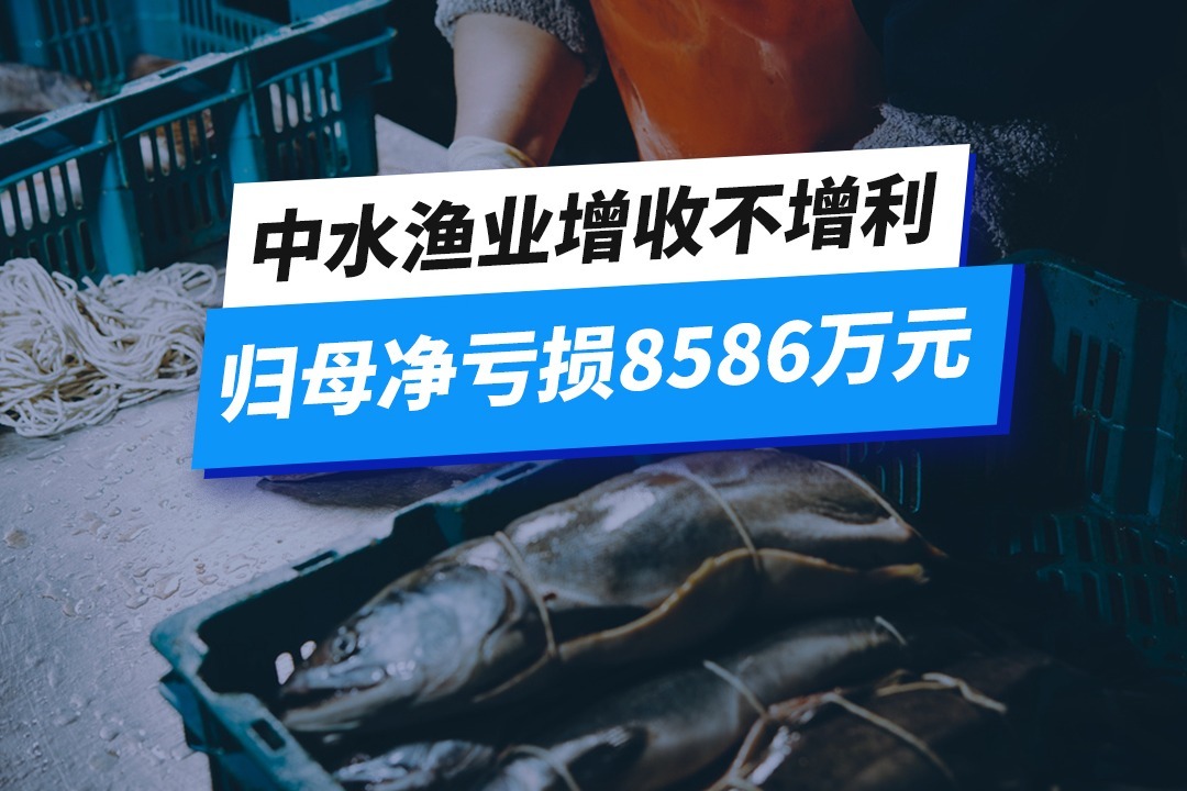 中水渔业增收不增利，归母净亏损8586万元  