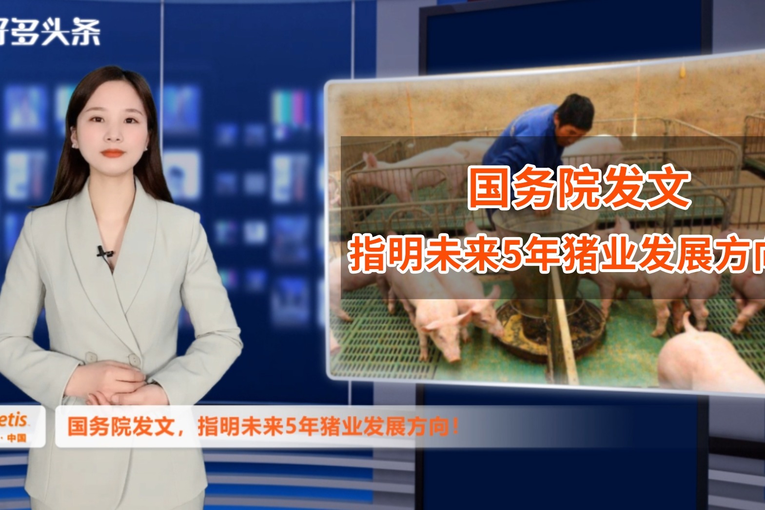 重磅！国务院发文，指明2021-2025猪业方向！小农户将有大发展？