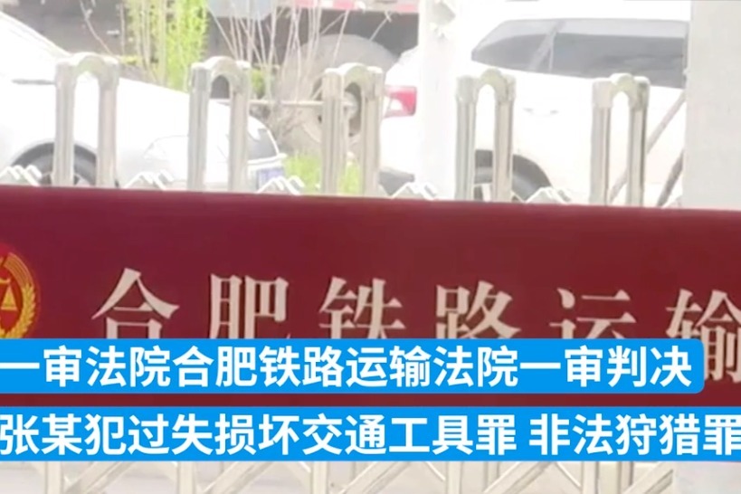 弹弓打鸟打破高铁前挡玻璃 安徽一男子获刑还需赔26万