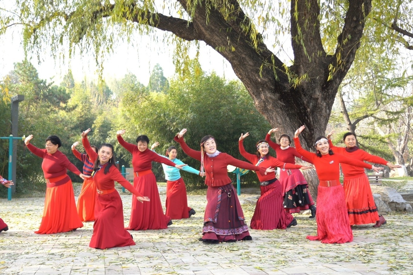 藏族舞《欢乐欢聚》，雍吉的舞步如行云流水！