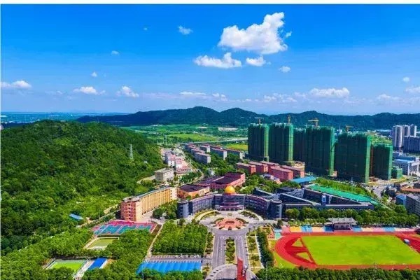 好消息!武汉发布新改扩建学校名单→凤凰网湖北_凤凰网