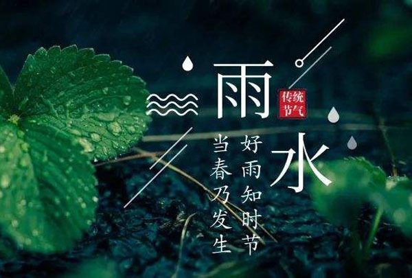 雨水節氣一般在公曆2月18—20日來到,2022年的雨水為2月19日.