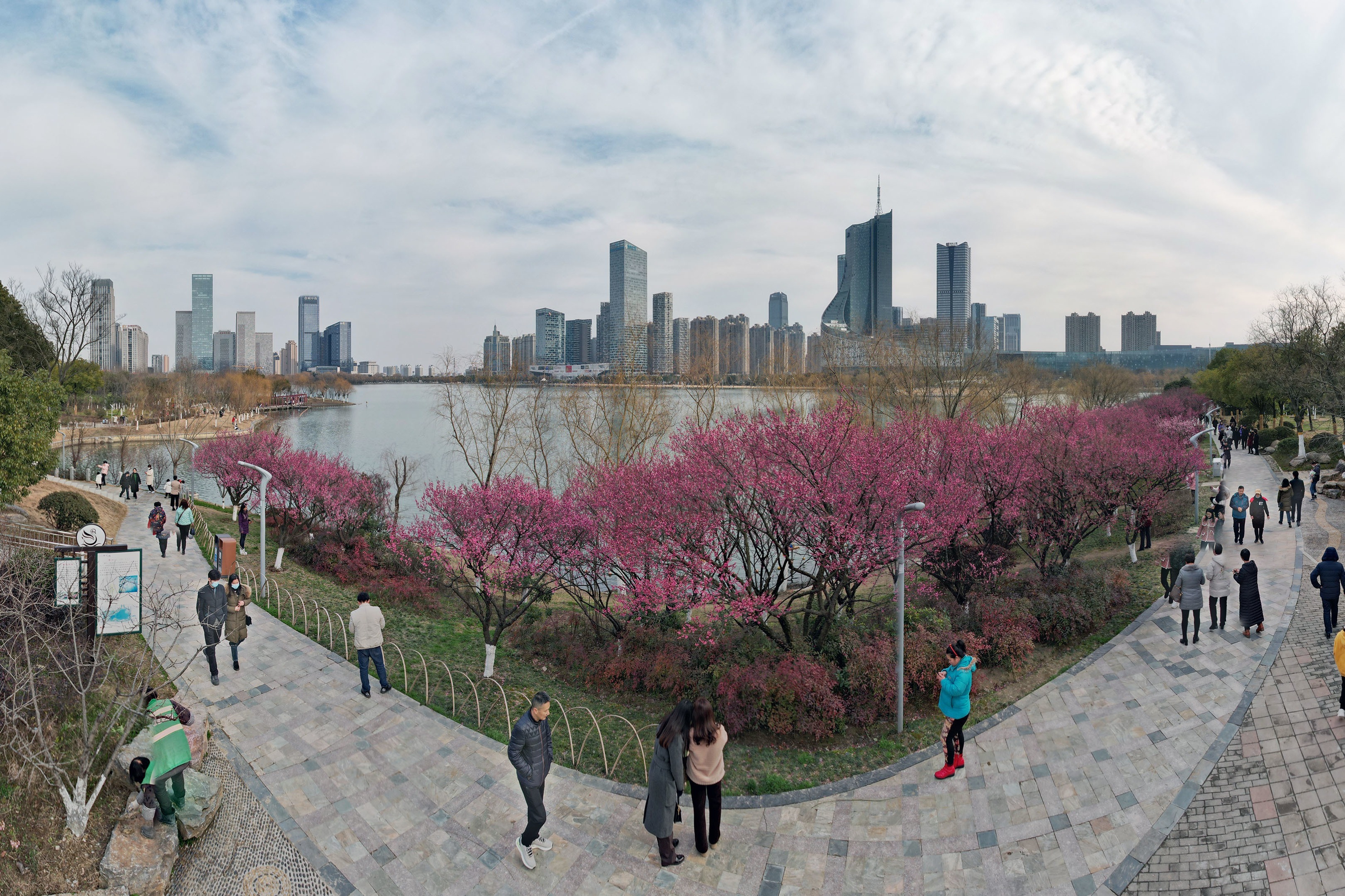 合肥：周末，天鹅湖梅花盛开，航拍春天美景