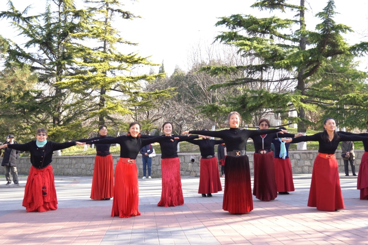 广场舞《吉祥藏历年》歌声悦耳动听，舞蹈整齐好看，龙缘舞蹈队