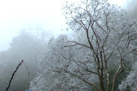 于都屏山牧场现绝美雾凇景观 