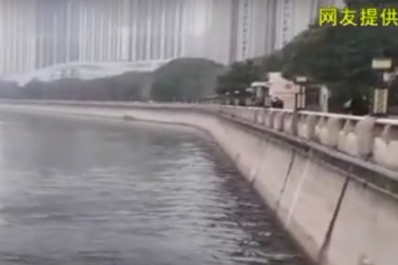 网传视频上饶信江河有污水排入？真相来了
