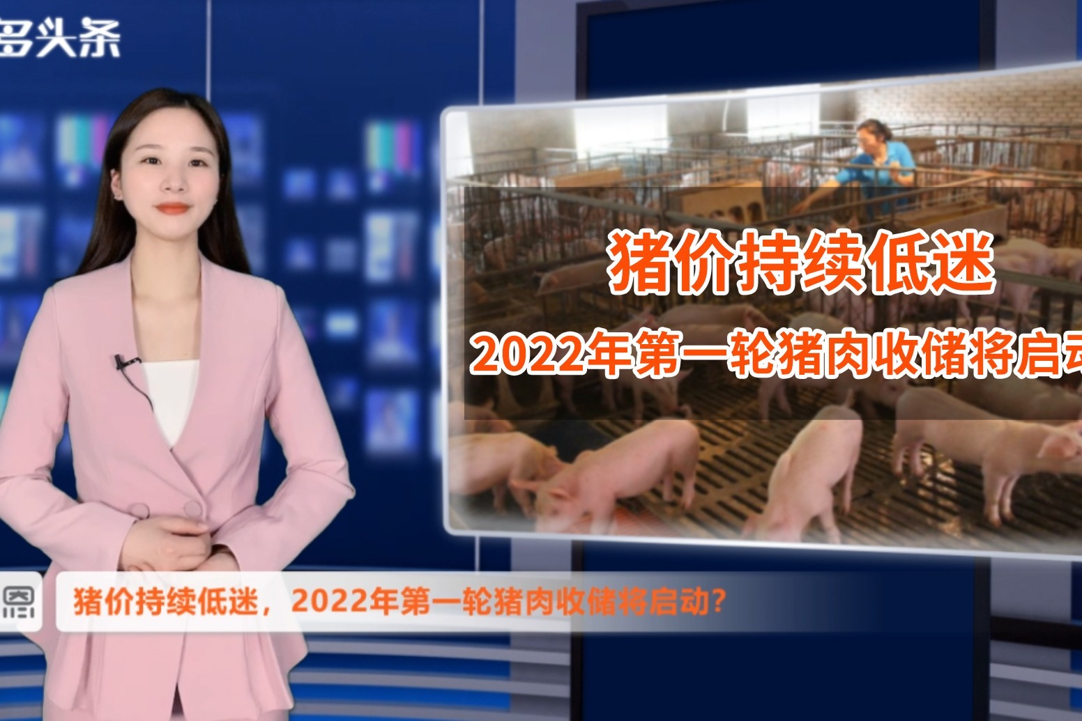 猪价“托底信号”来了！2022年第一轮猪肉收储将启动？猪价会涨？