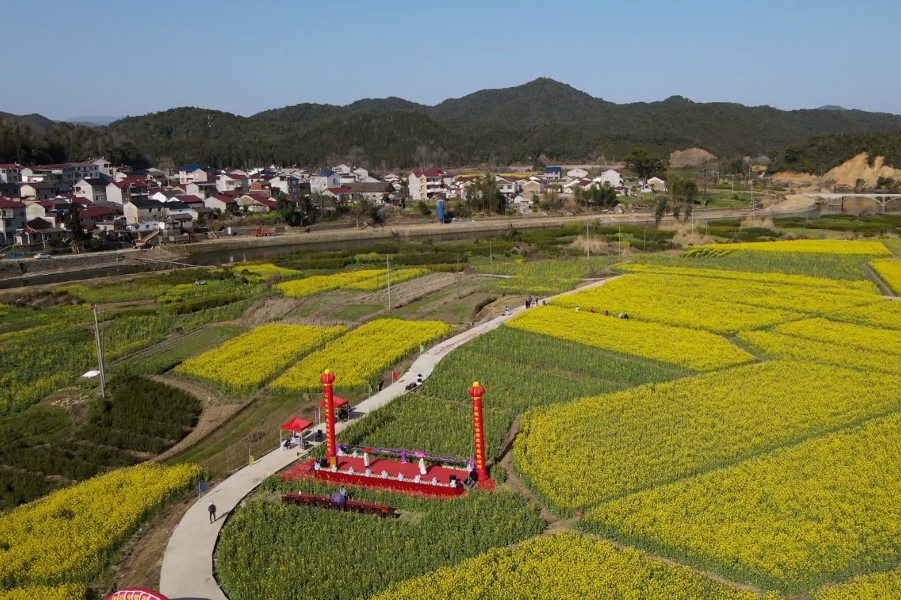 江西浮梁县：油菜花开正盛