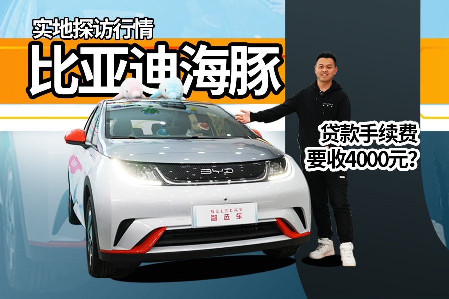 探访比亚迪海豚市场行情，最高享5年免息，手续费还要收4000元？