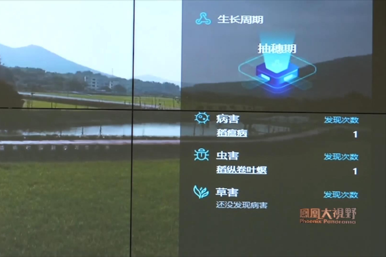 农业+5G=？操纵无人机的“新农民”