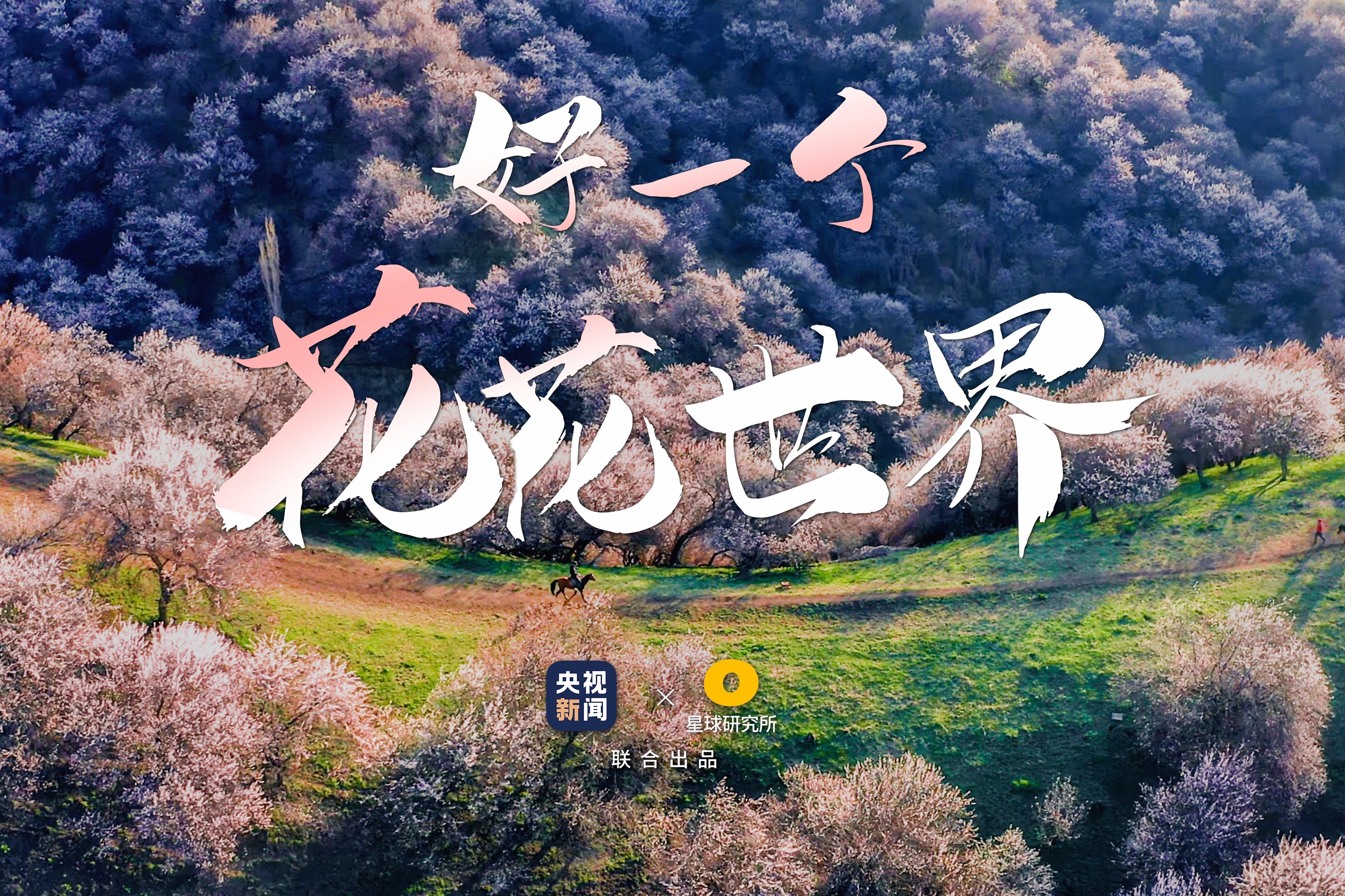 欢迎来到花花世界3分钟带你看遍中国春色