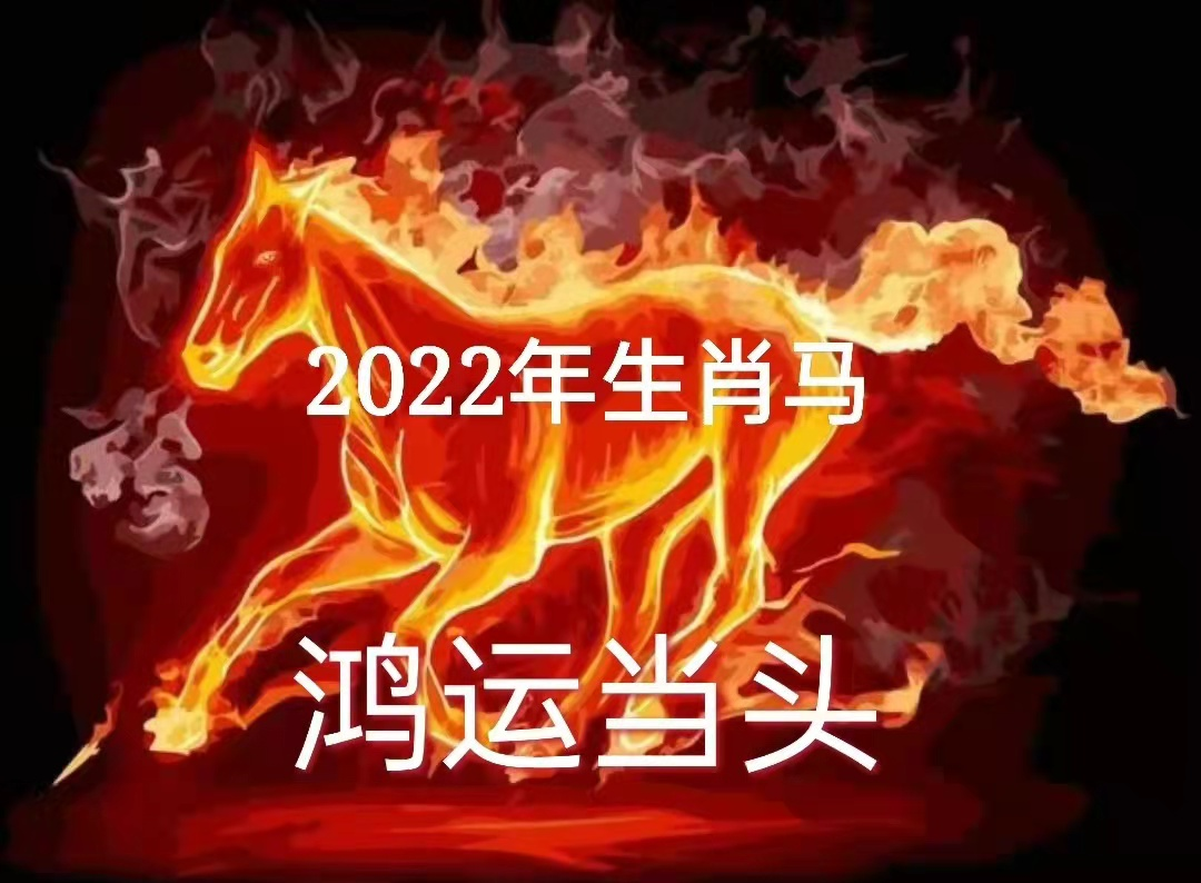 2022年十二生肖运势合集，旺运指南！__凤凰网