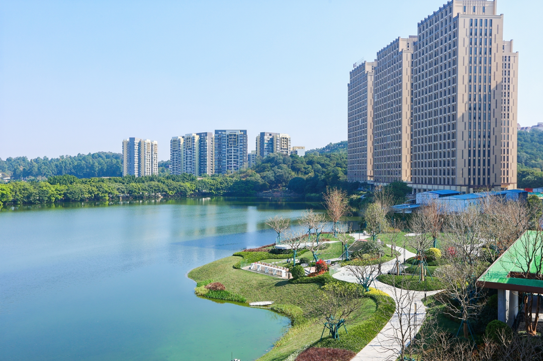 敢称金沙洲TOP级学区?这个宝藏盘凭啥让家长们挤破头!__凤凰网