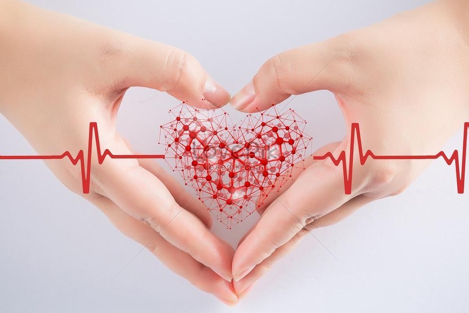 肝病科孙晓红医生介绍：学会这四点，自己就能看懂肝功能