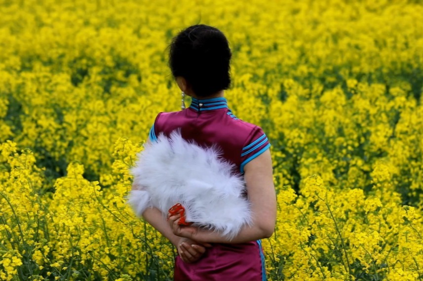 《油菜花开》