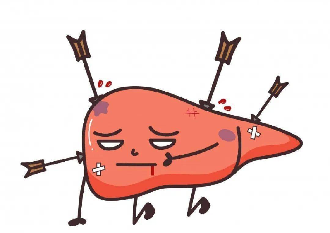 70岁老人吃中药吃出肝损伤,这一教训要谨记!__凤凰网