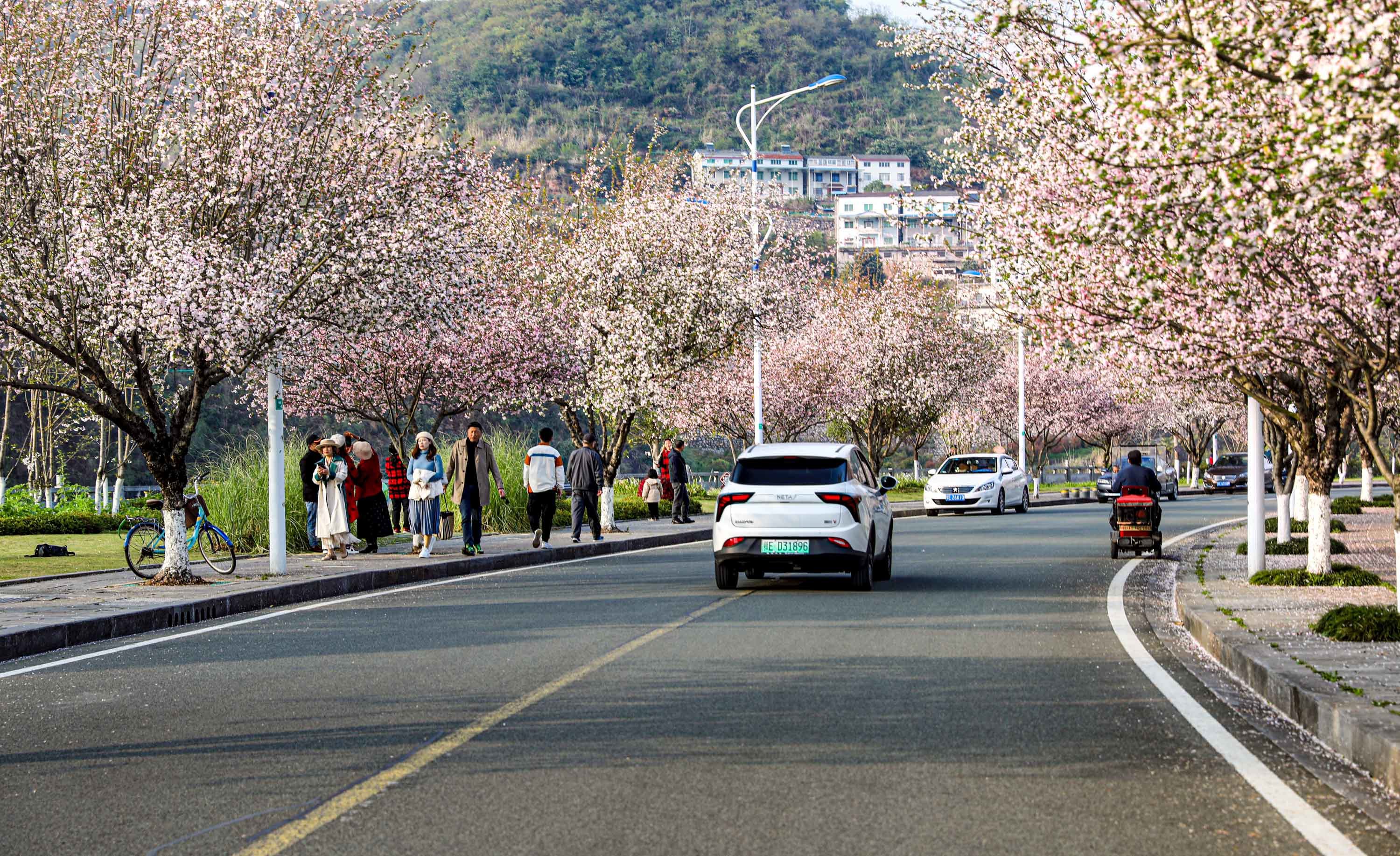 长江黄柏河有条仙境景观路 百姓家门口能看绿水青山__凤凰网