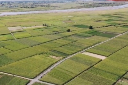 “一屏四城五区”进行时 丨张掖：高效节水农业经济和生态效益凸显