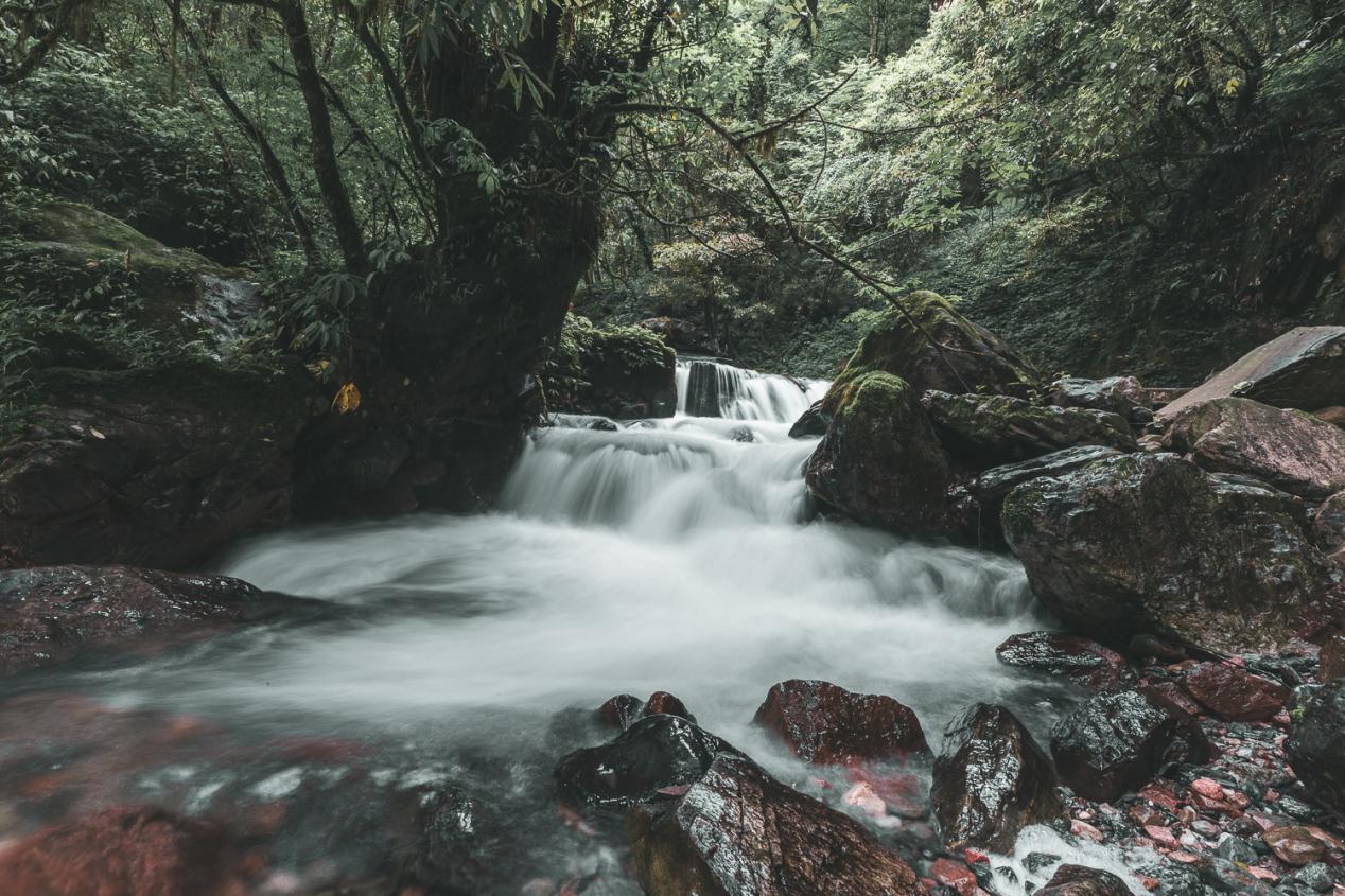 西岭雪山大飞水景区:峡谷秘境里一个与众不同的春天__凤凰网