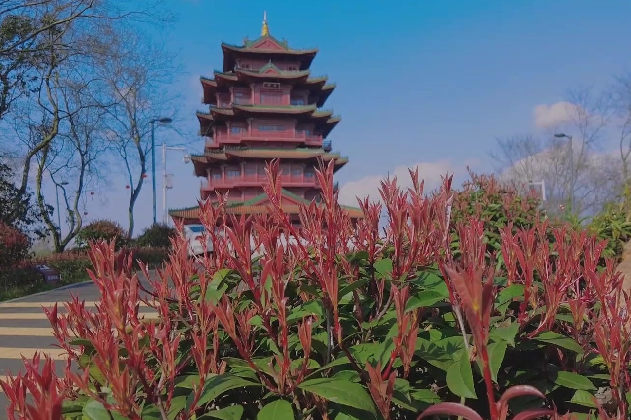 美丽吉安：神冈山公园的春色