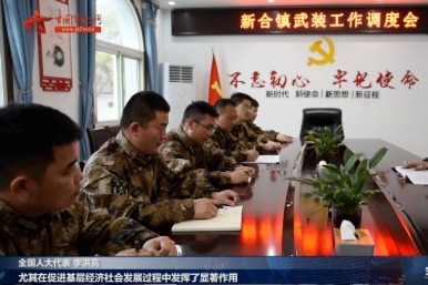 全国人大代表李洪亮：加强乡村建设治理 推动基层武装发展