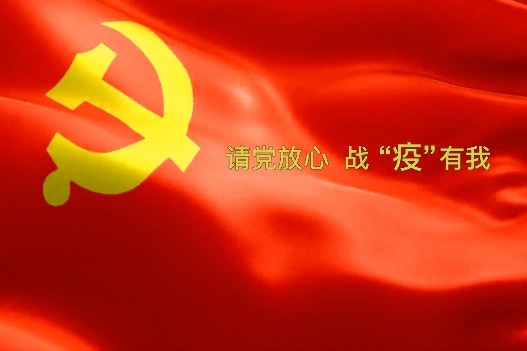 抗击疫情党旗图片