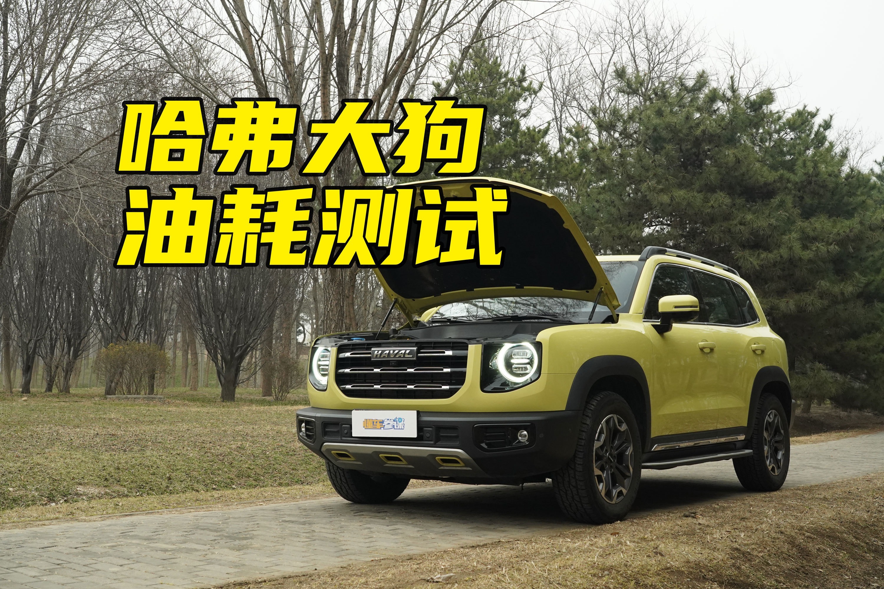 哈弗大狗油耗测试，原厂带AT轮胎，油耗表现如何？