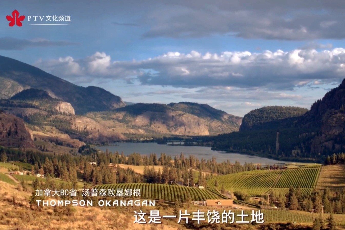 泛旅行 | 汤普森欧垦娜根：加拿大酒庄果园之乡