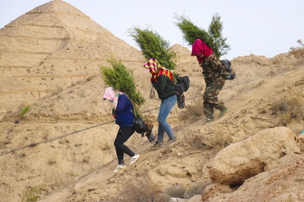 植绿不止春山可望 白银区大规模国土绿化全线提速