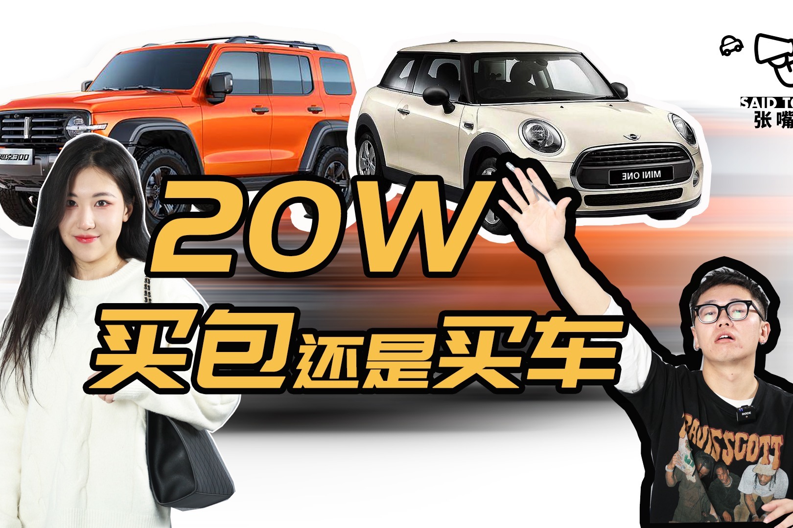 20W预算，众多网红车型居然不如买个包？