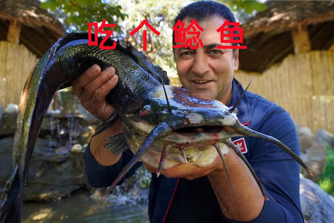 这鲶鱼长得有点恐怖，想想该怎么吃呢，还是直接炖个汤吧
