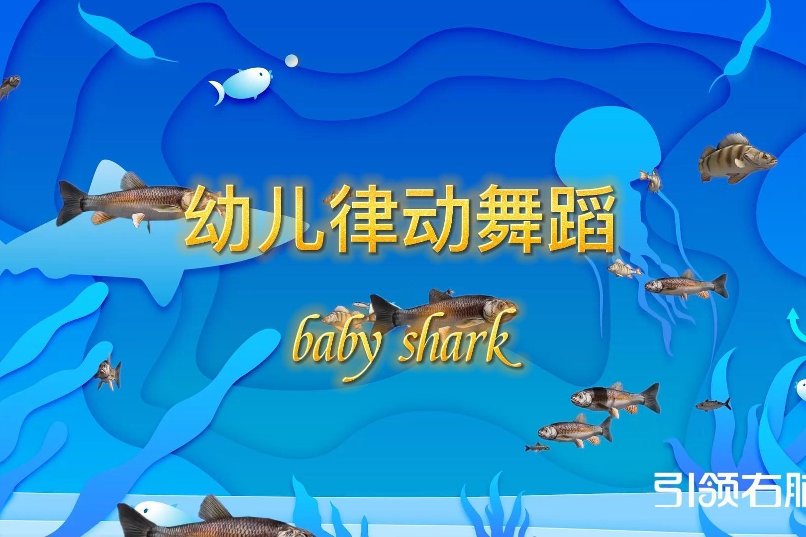 幼儿律动舞蹈《baby shark》教学版